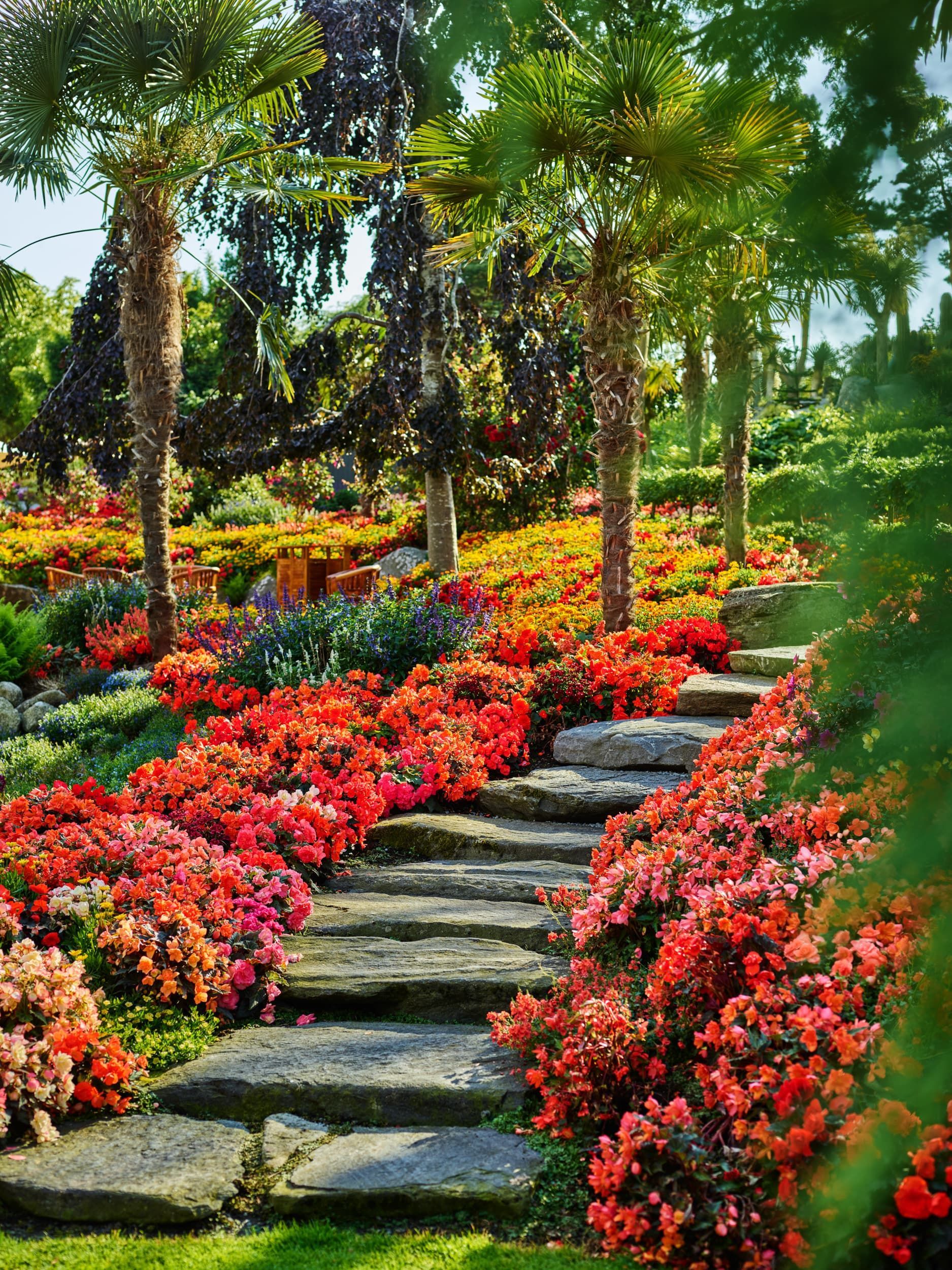 Stone steps ascend through a vibrant garden overflowing with red and orange flowers, under palm trees.