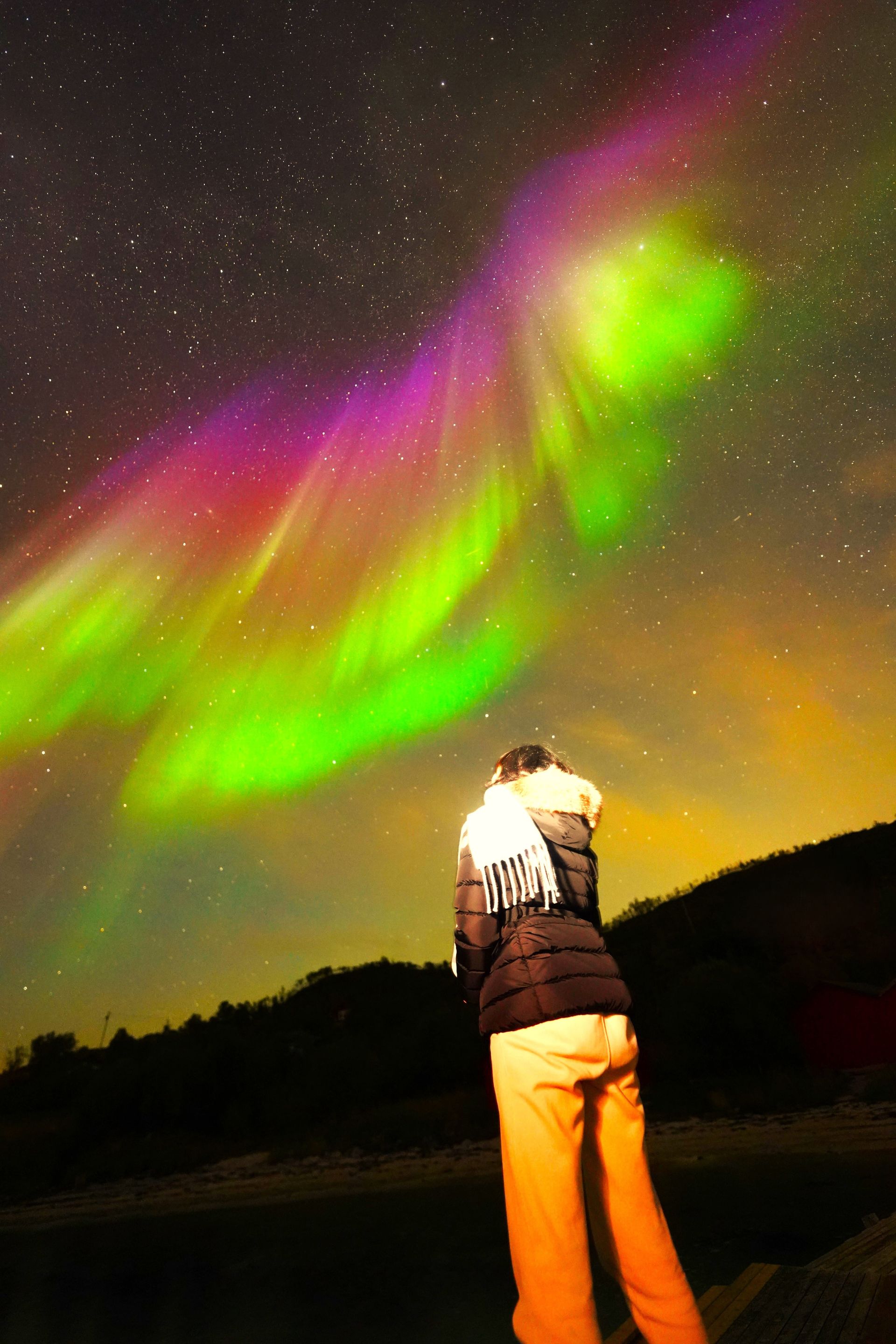 Person gazing at vibrant green and purple aurora borealis in a dark night sky.