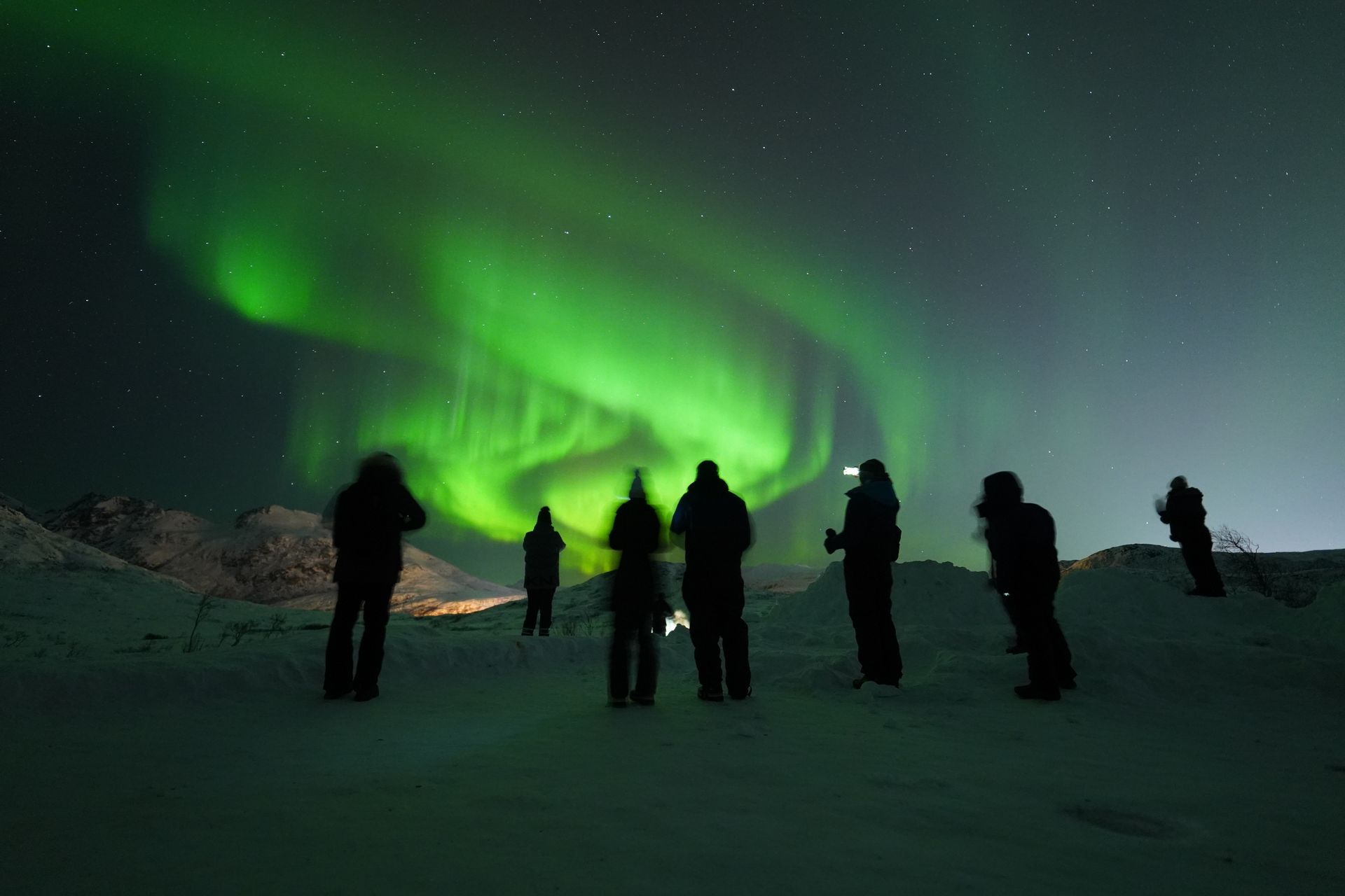 Amazing Arctic Tours