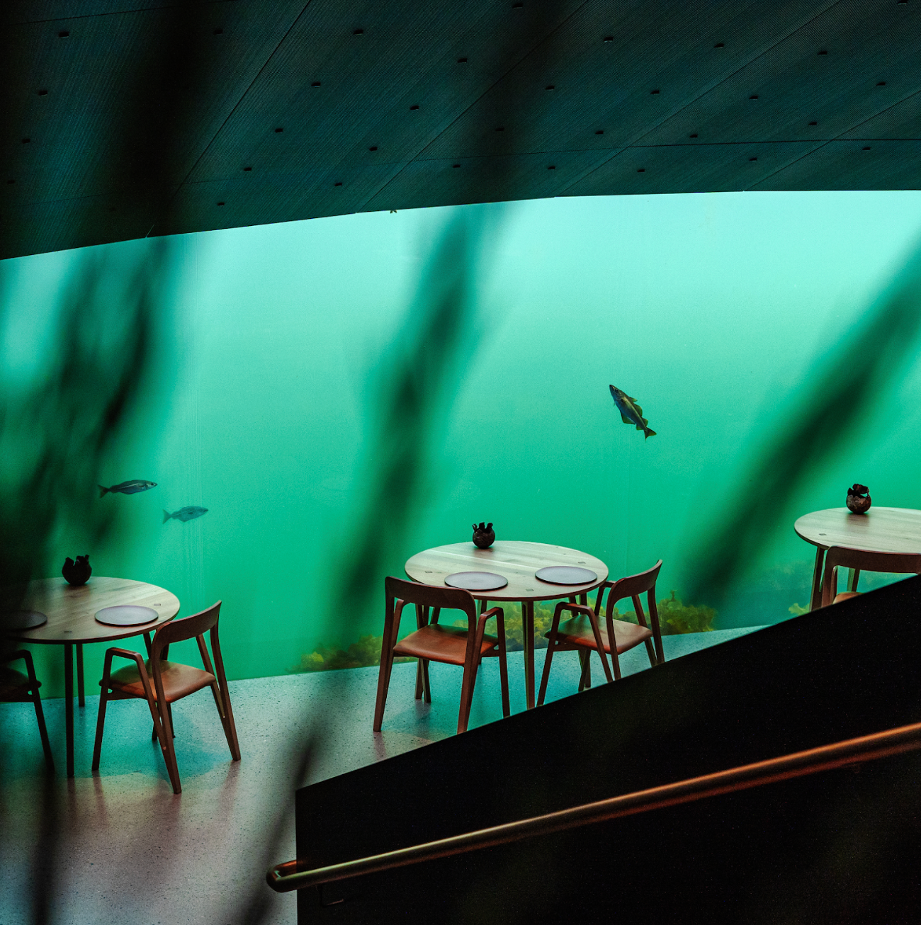 Restaurant with tables and chairs next to a large window, underwater view of fish swimming in green water.