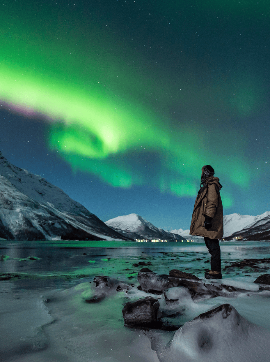 Person gazing at green aurora borealis over a snowy landscape, lake, and mountains.