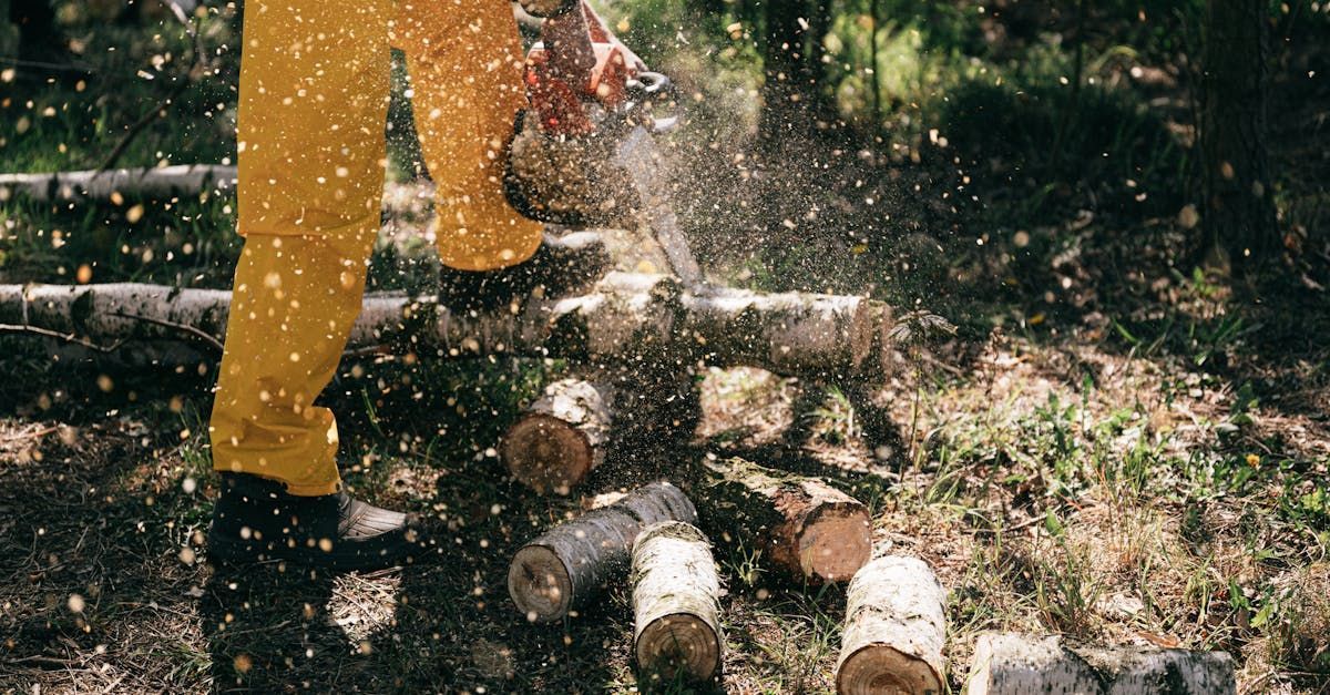 A man is cutting a tree with a chainsaw in the woods.