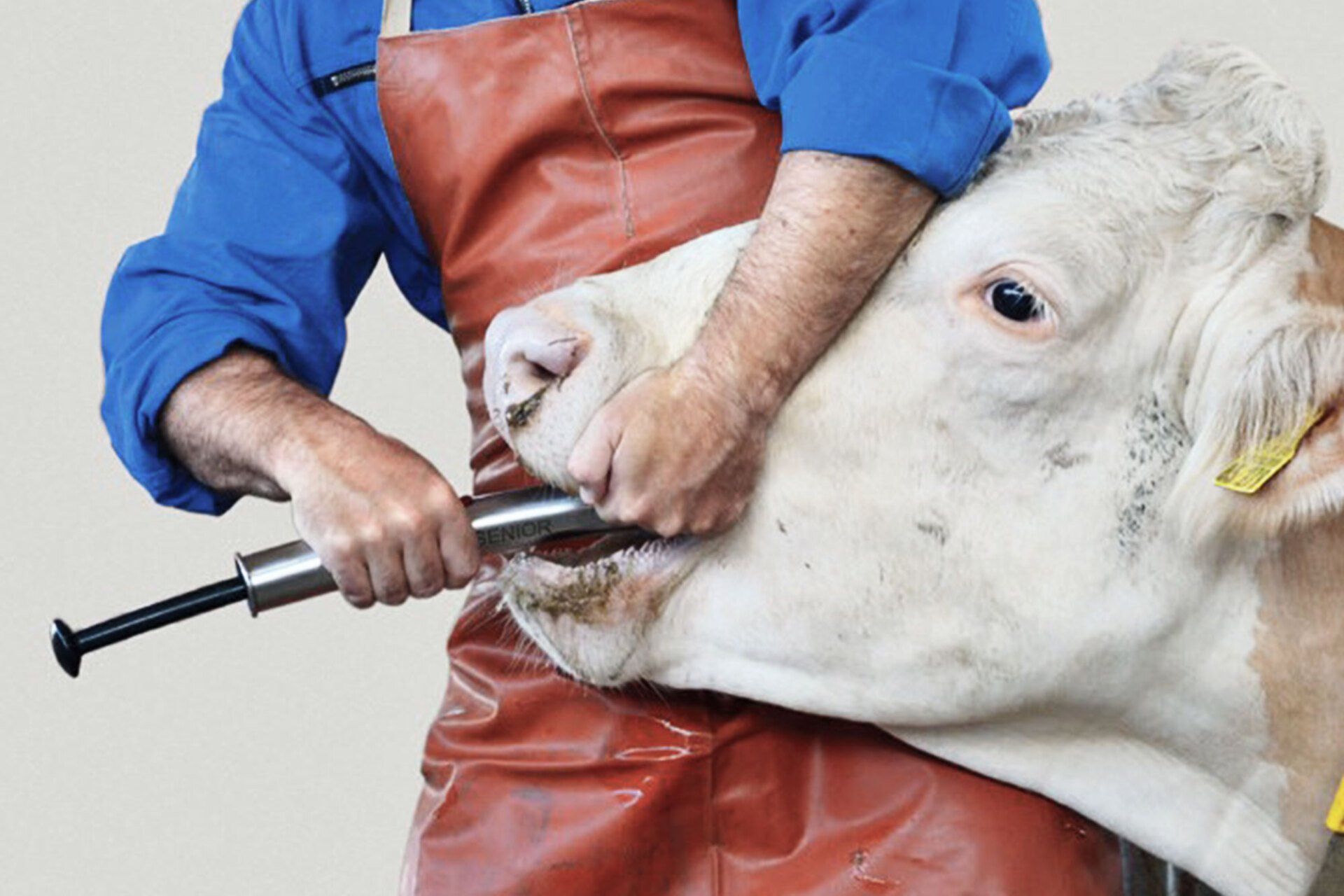 Anwendungsbeispiel: Pilleneingeber Senior