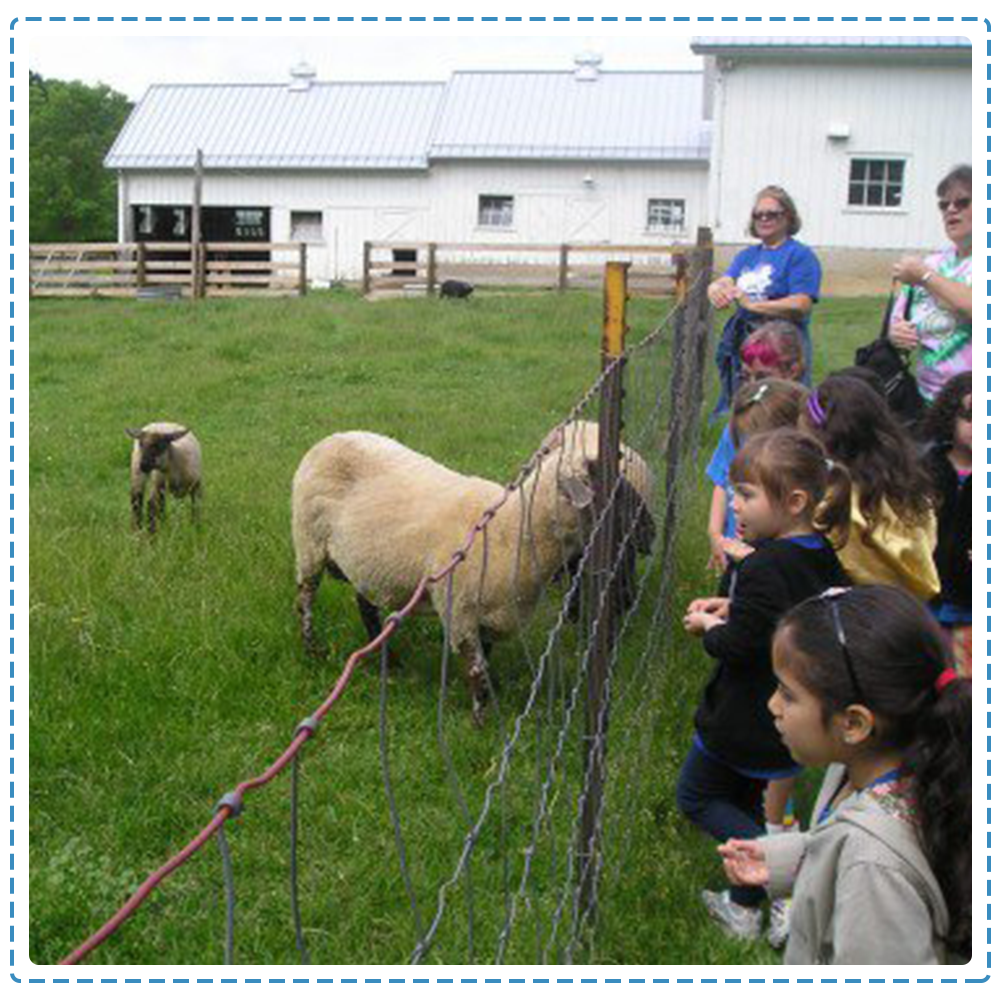 Children at the goat's farm