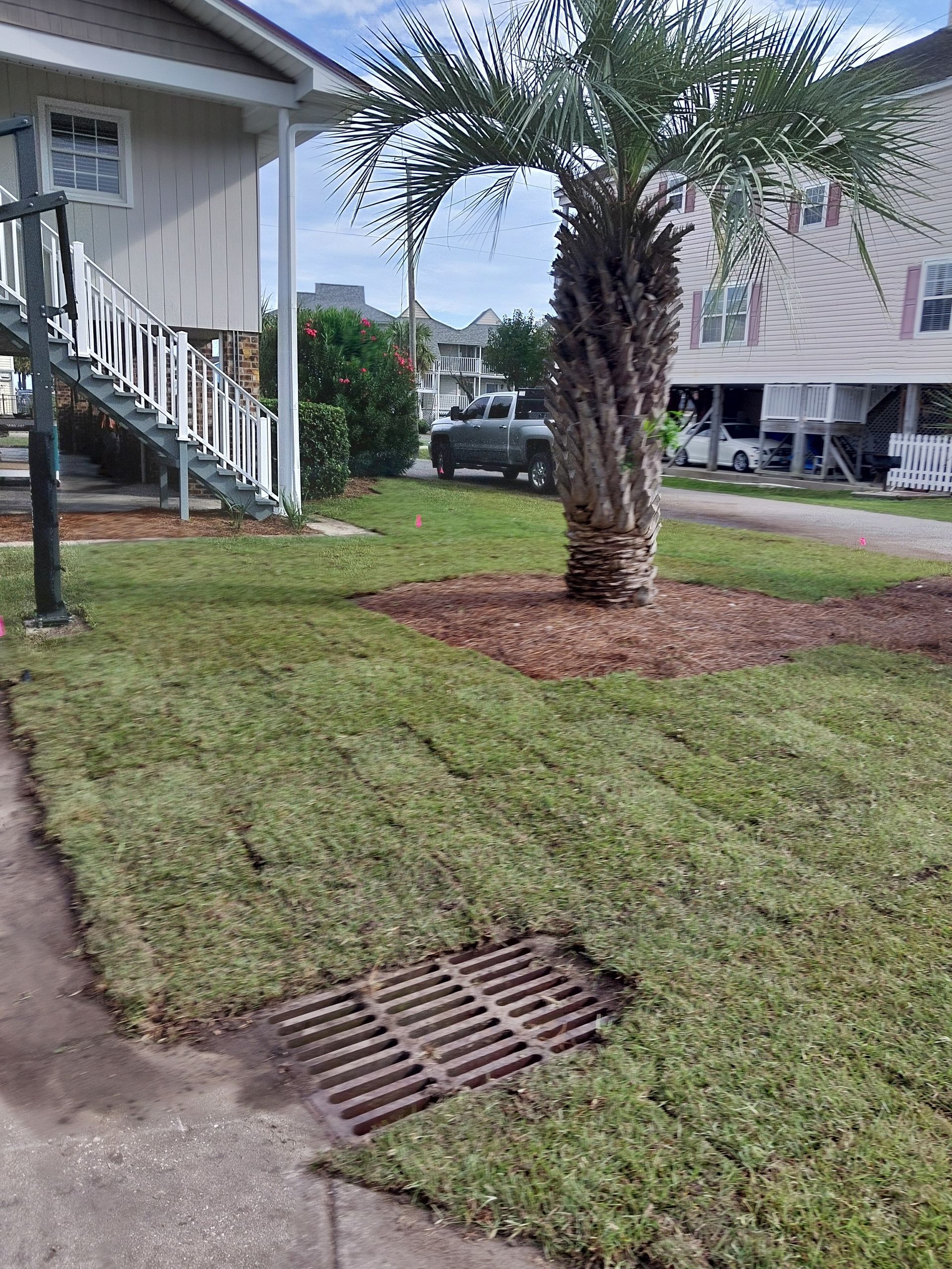 Freshly laid sod near a street drain and a small palm tree in front of two-story buildings with staircases.