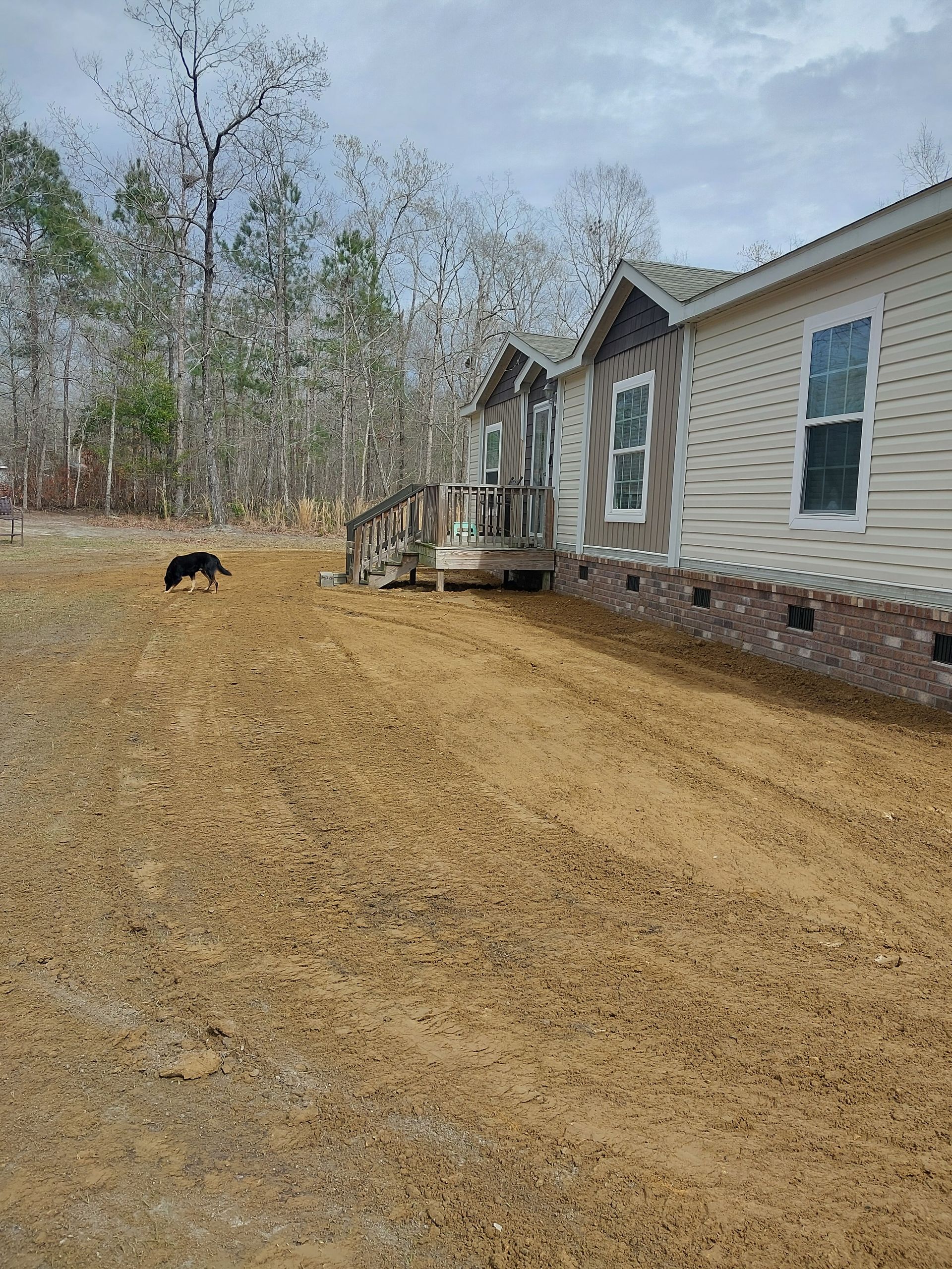 A dog runs across a dirt yard towards a light-colored house with brown brick and siding. Trees are in the background.