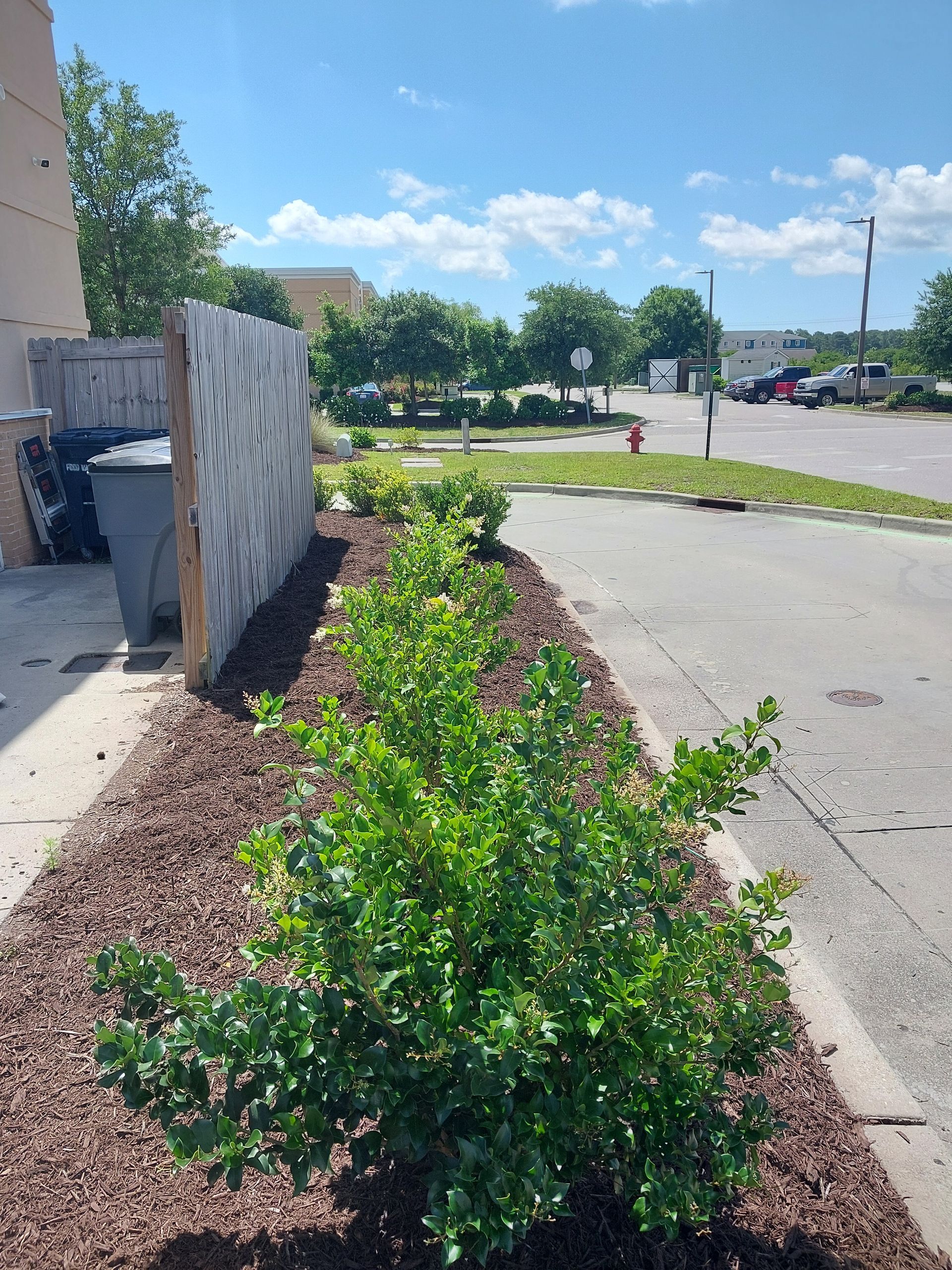 A landscaped area with green bushes and brown mulch next to a paved road and wooden fence, under a sunny sky.