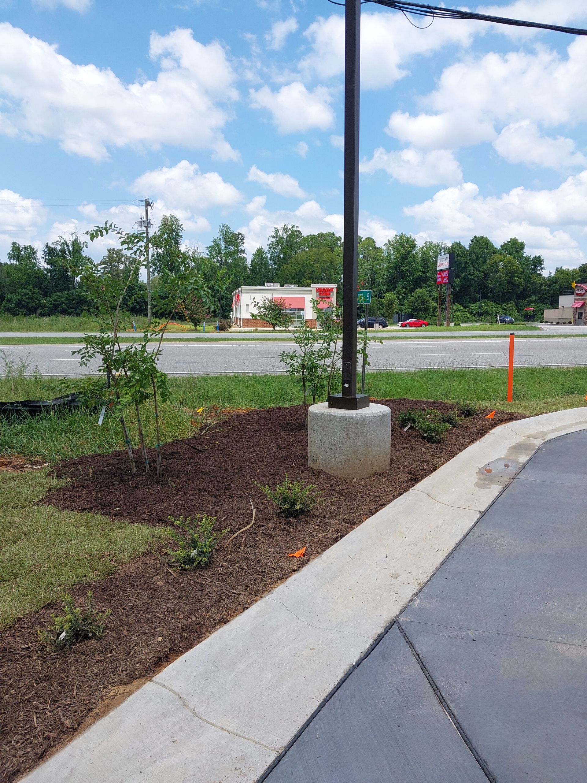 Mulched landscaping with young trees and a concrete light pole base next to a sidewalk and street, with a fast-food restaurant in the background.