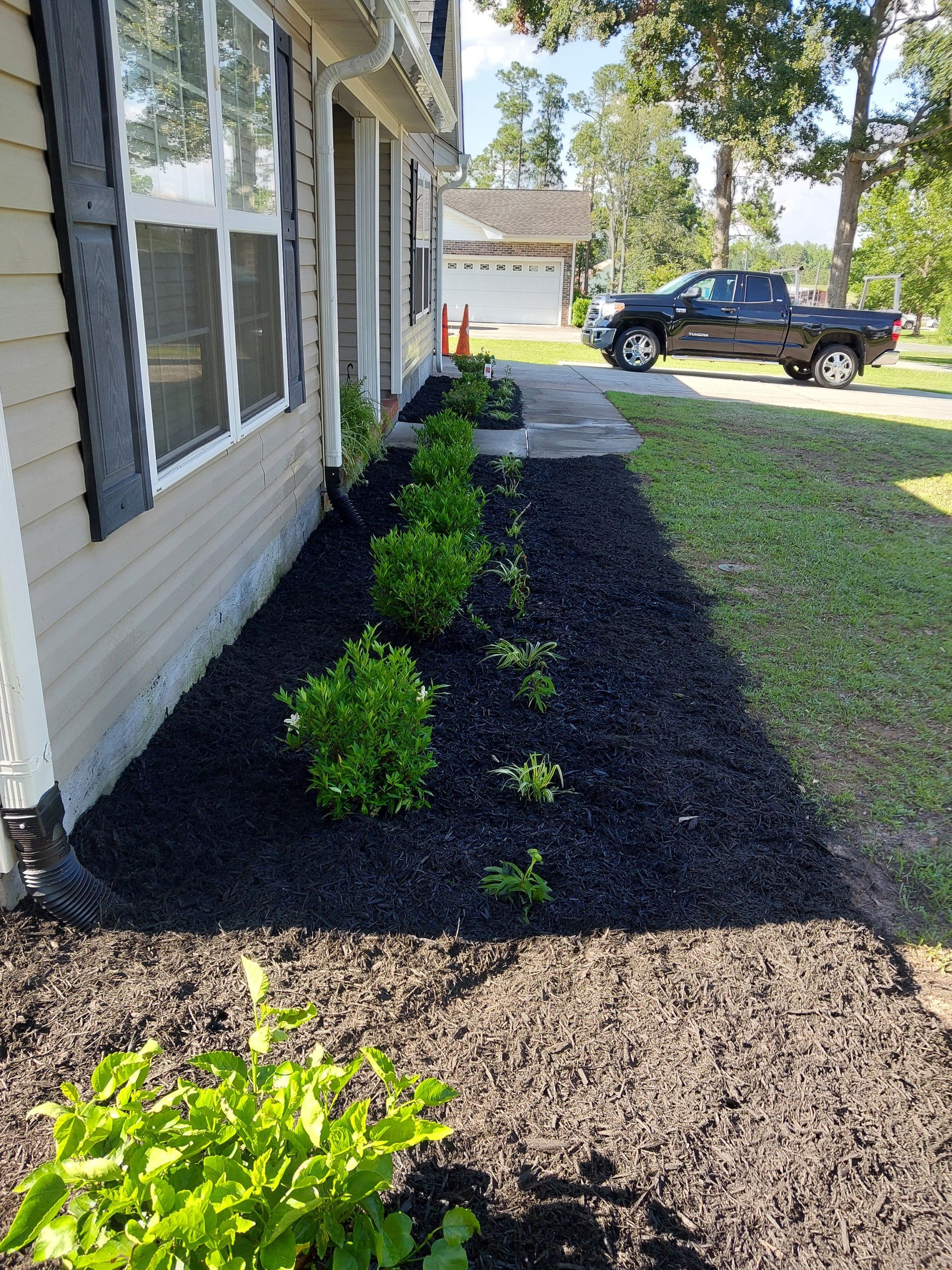 A house with a black mulch garden bed lined with green bushes. A dark truck is parked nearby.