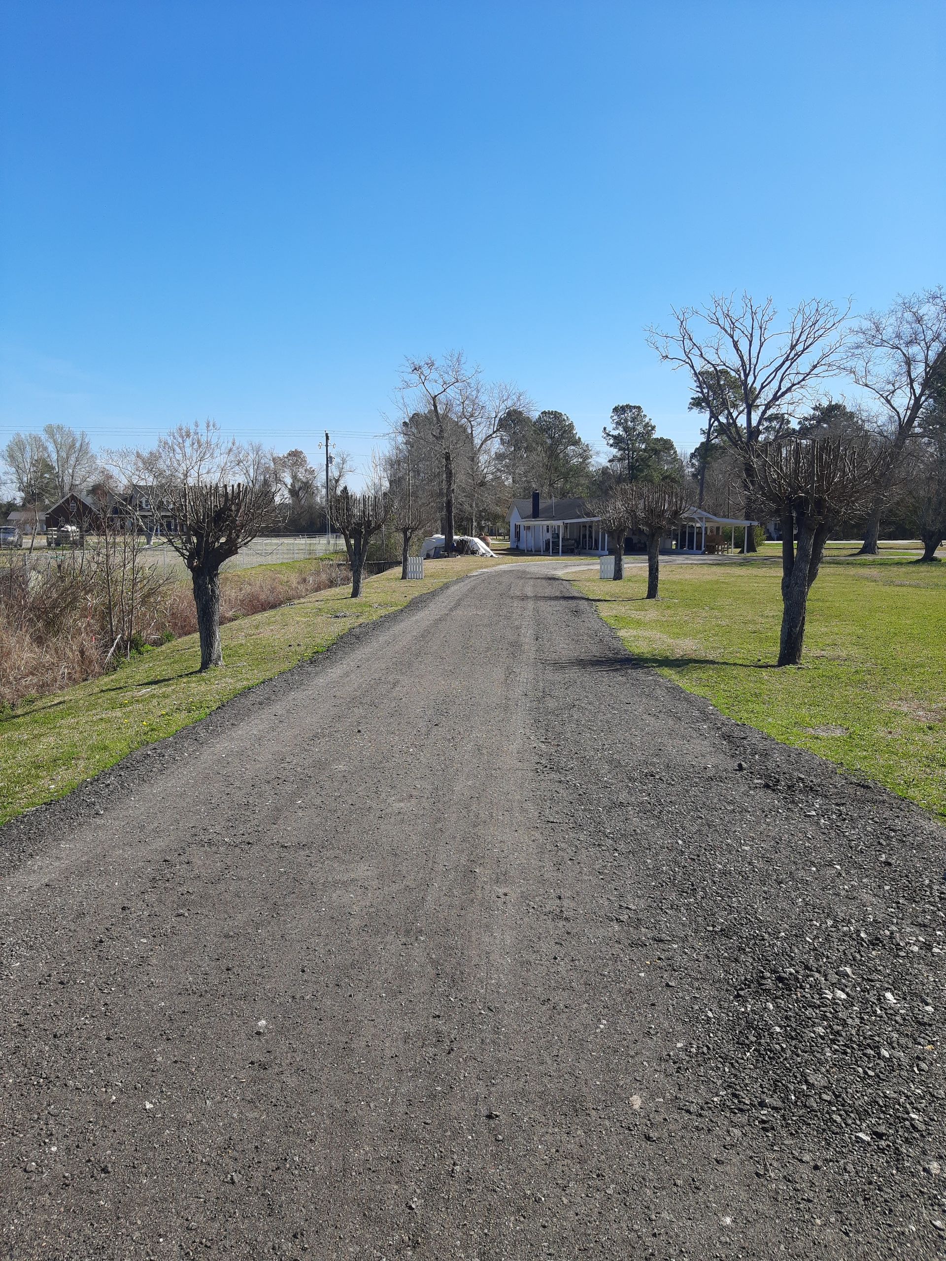 Gravel path leads towards a building lined with small trees under a blue sky. The path is flanked by green grass and some bushes.