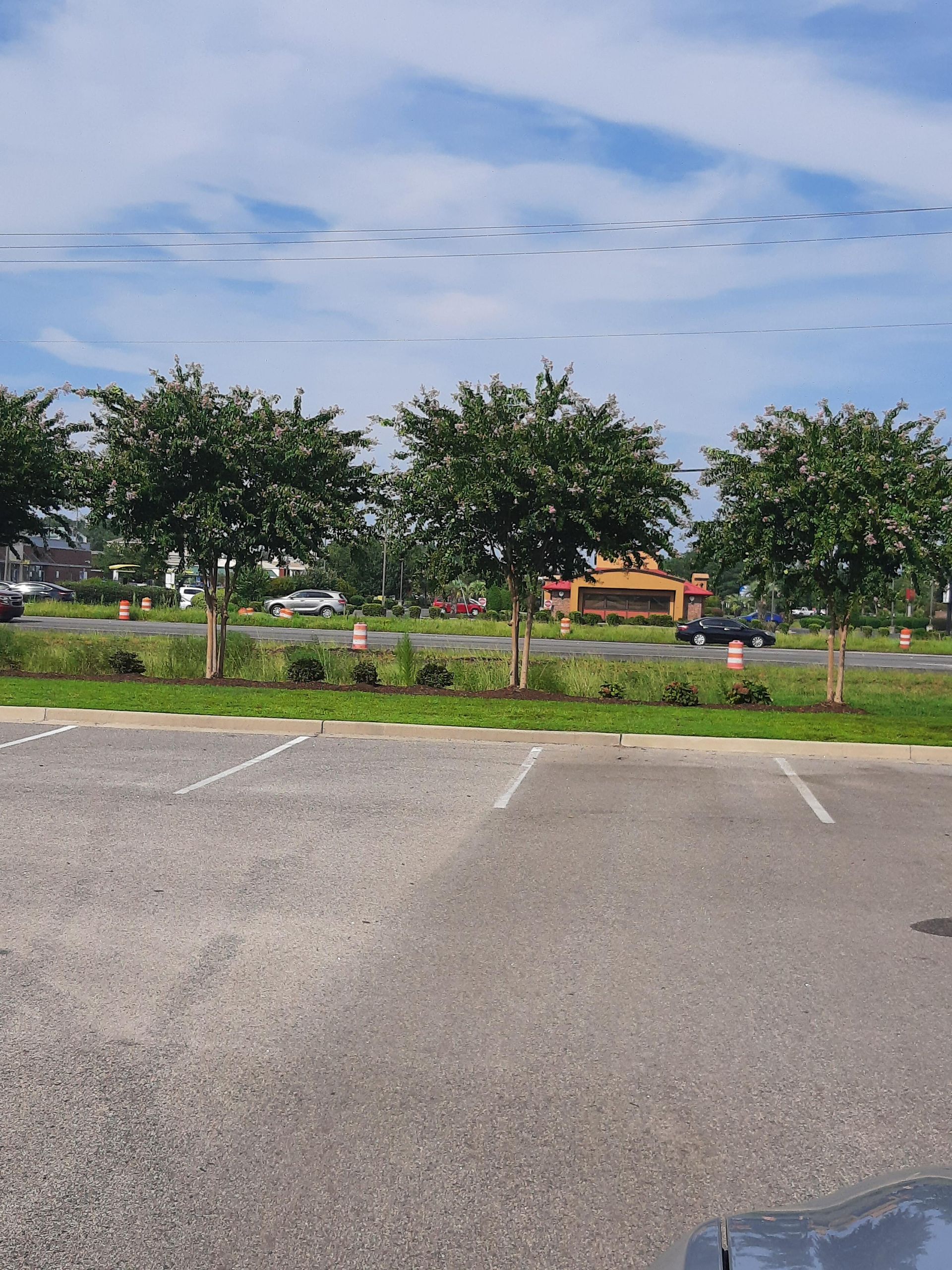 Empty parking lot in foreground with a row of green trees and bushes separating it from a road with a fast-food restaurant under a blue sky.