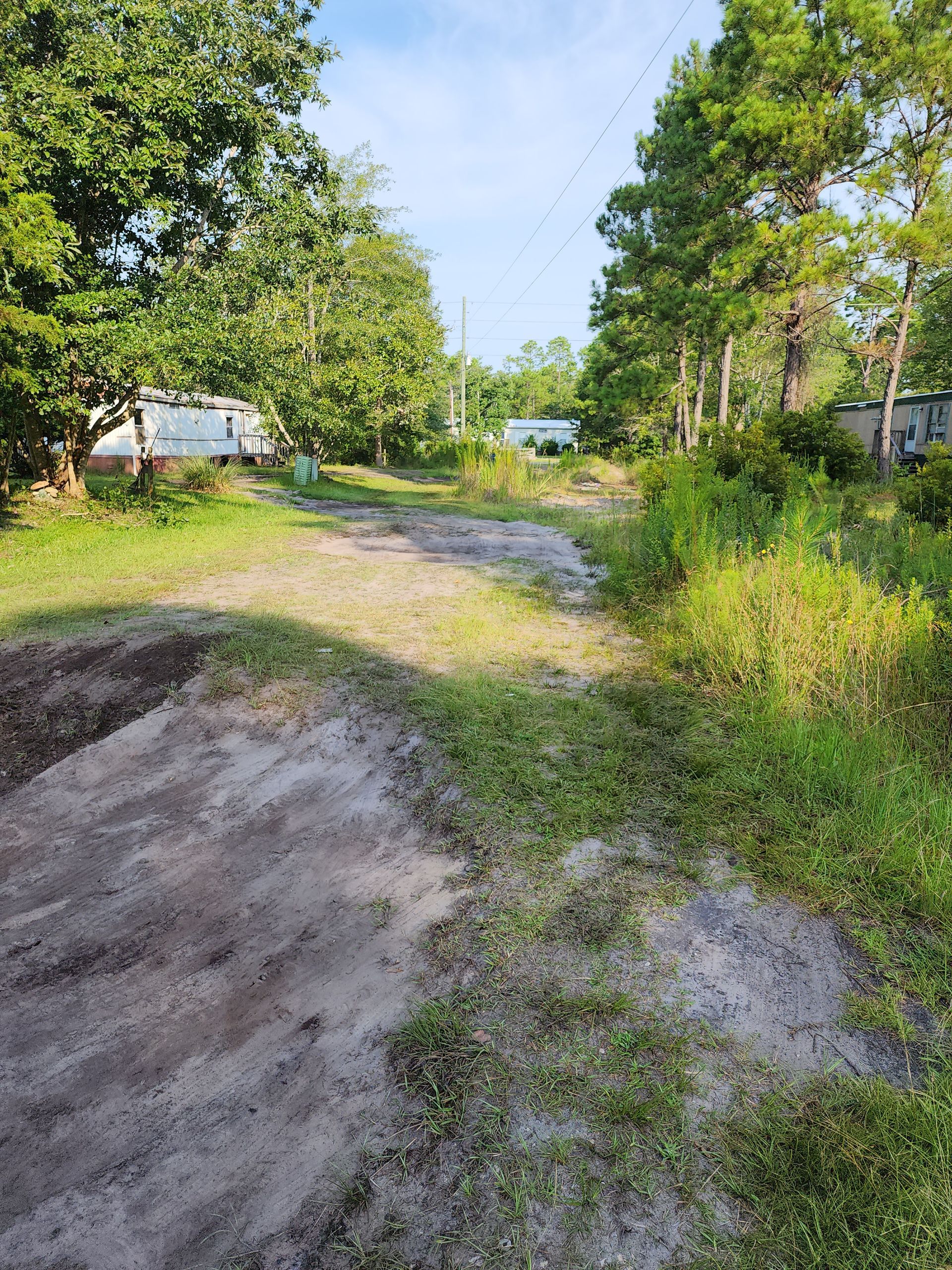 Dirt path leading to houses through green trees under a sunny sky.