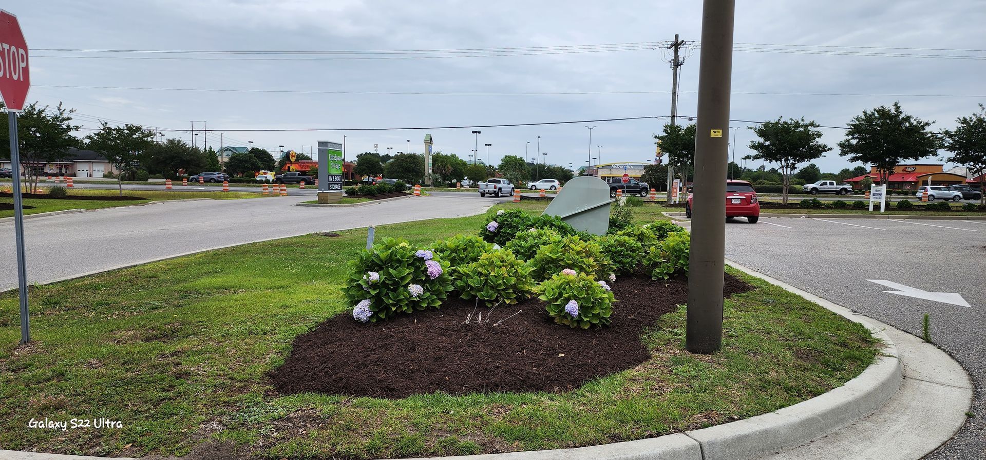 A landscaped traffic island at an intersection with bushes, flowers, and a utility pole. A red car is in the distance.