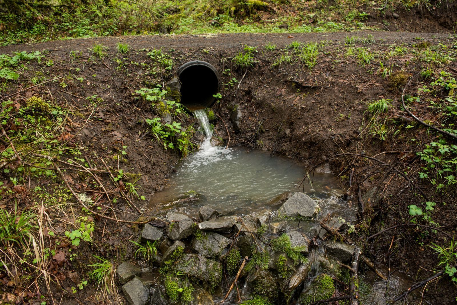 A concrete pipe drains murky water into a small, muddy pool along a dirt path lined with green vegetation.