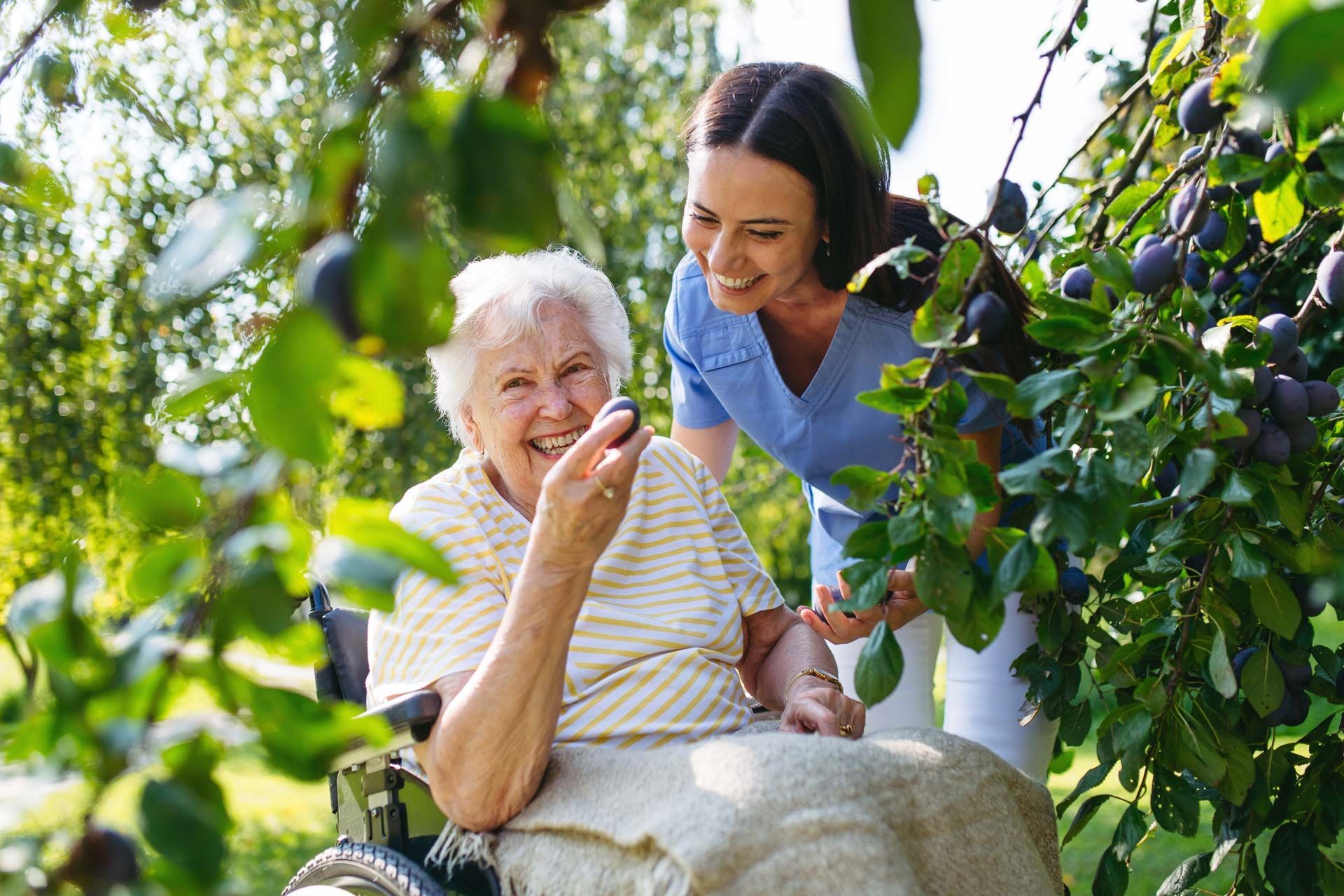 Woman in wheelchair eats a plum in a garden, smiling at the person next to her, who is also smiling.