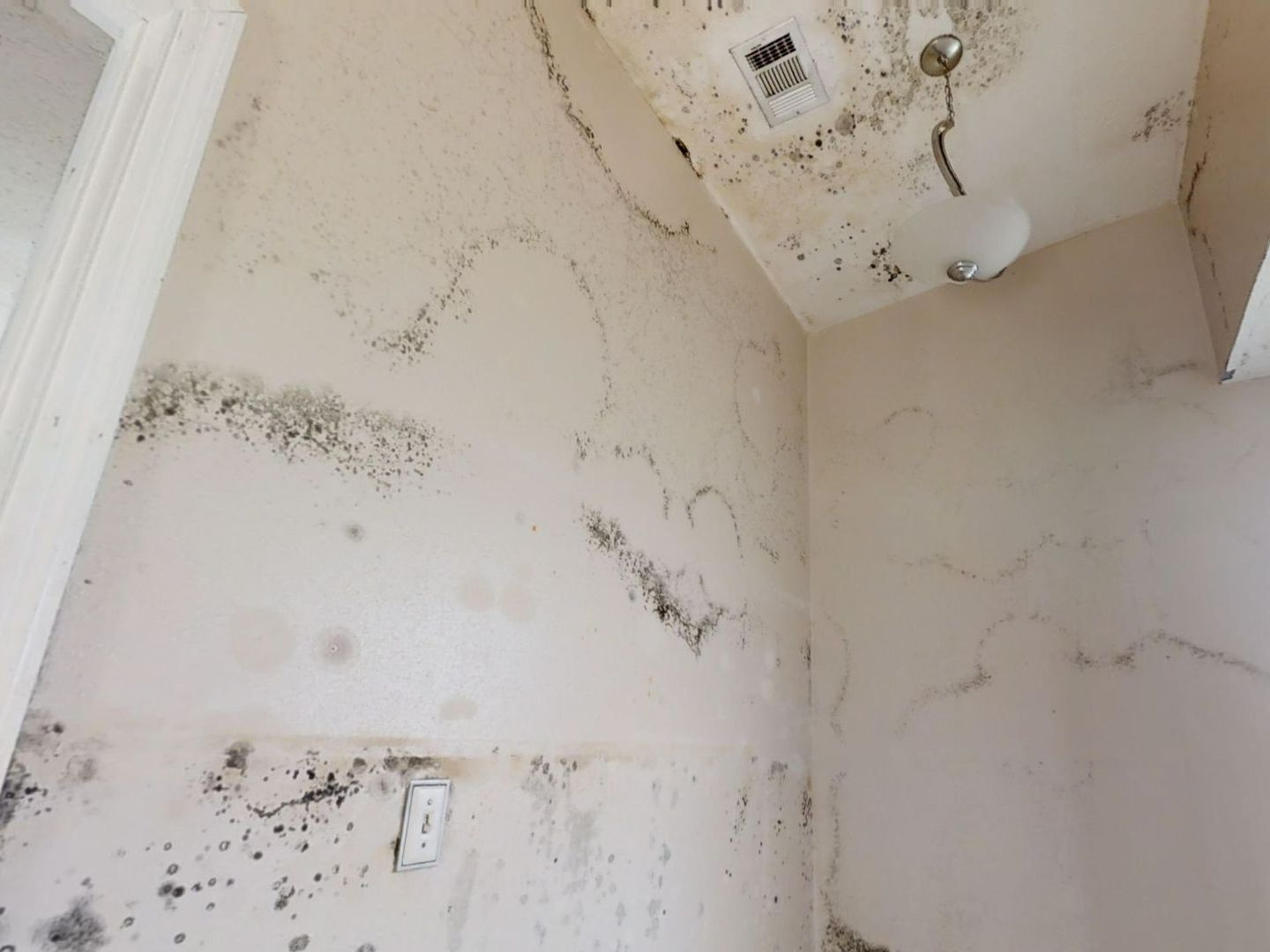 Dirt Wall - Lansing, MI - Sunrise Cleaning & Construction Services