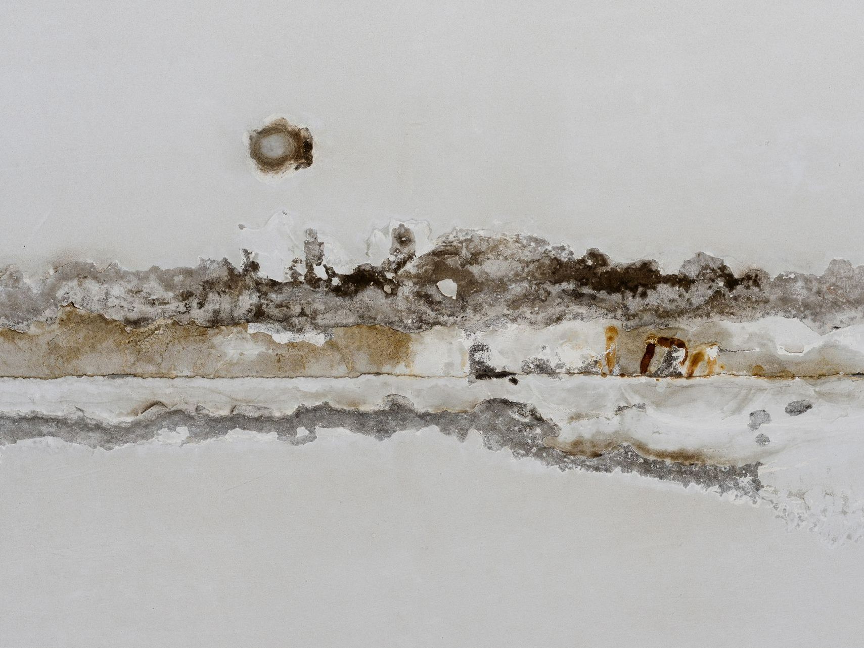 Mold Growth - Lansing, MI - Sunrise Cleaning & Construction Services