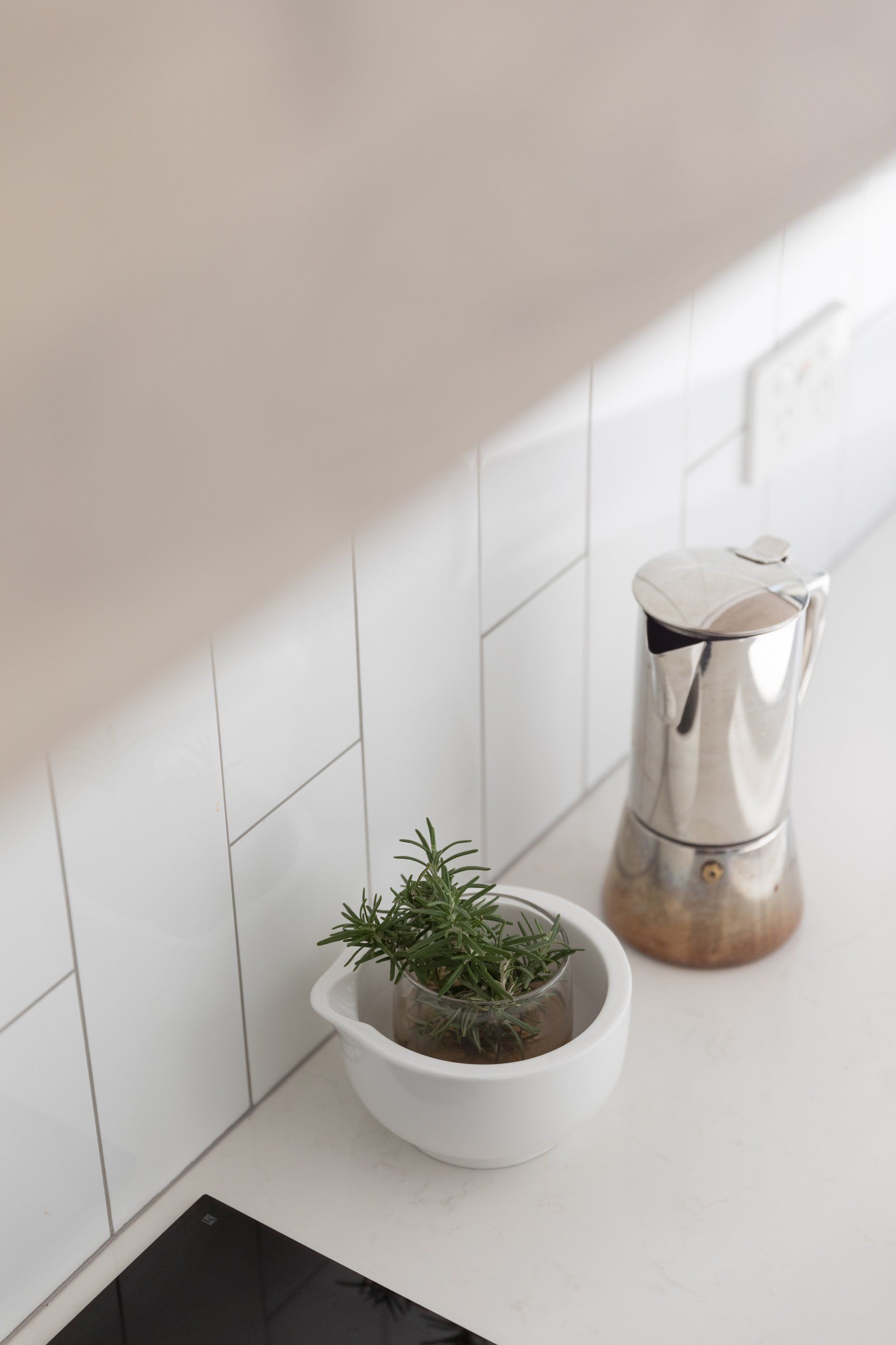 Succulent Plant in Kitchen— Platinum Kitchens & Bathrooms In Coffs Harbour NSW