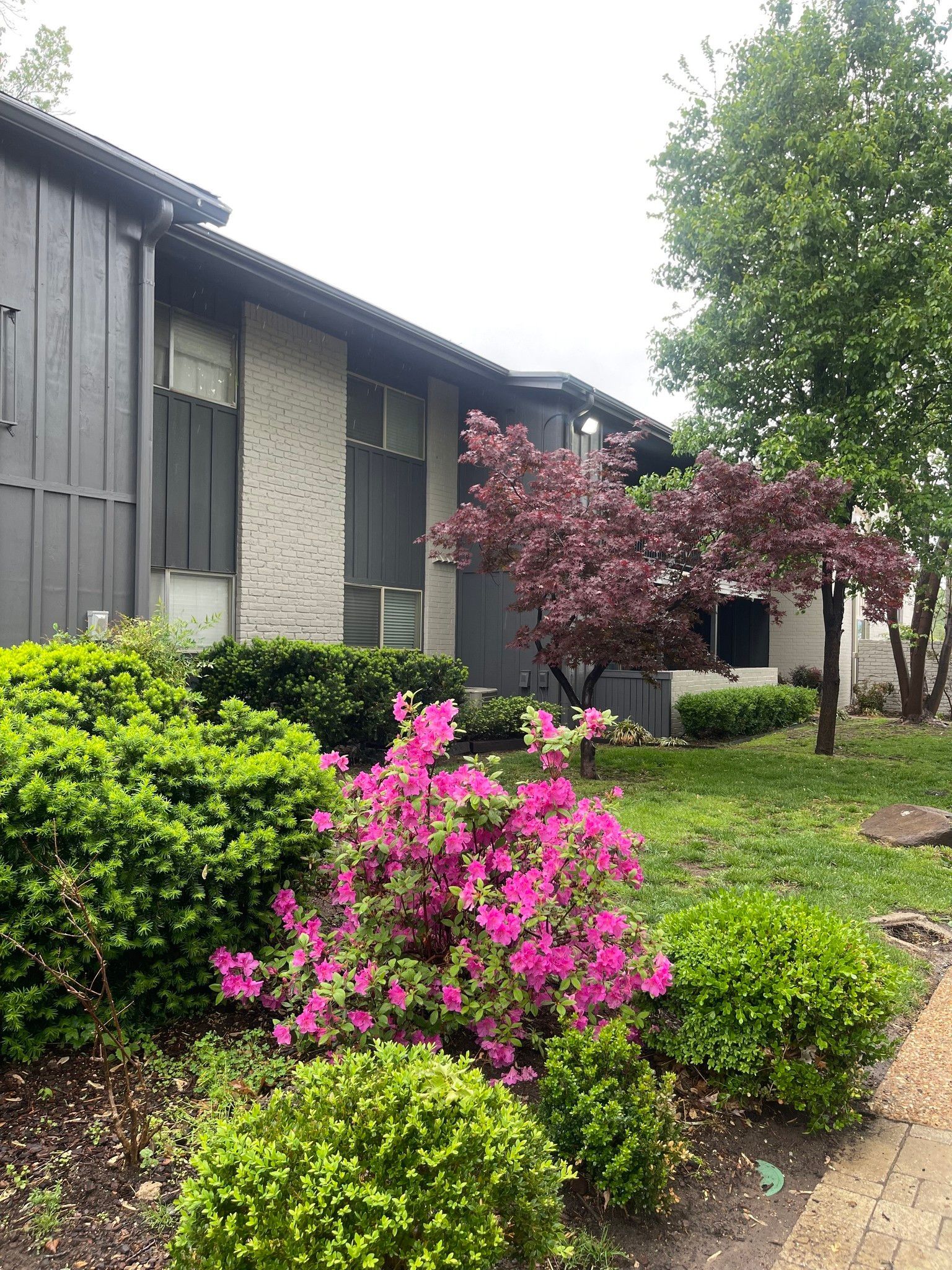 A house with a lot of bushes and flowers in front of it.