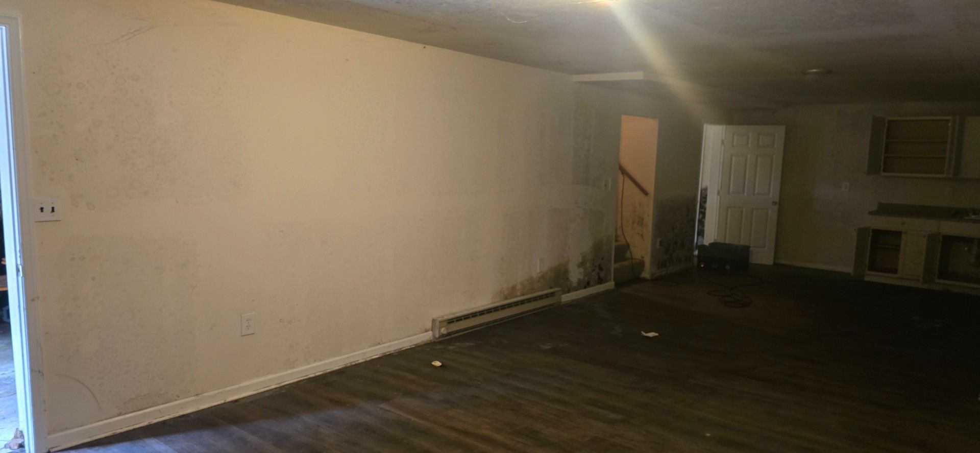 A room with a long white wall and a dark floor, with mold on the walls, and an open doorway.