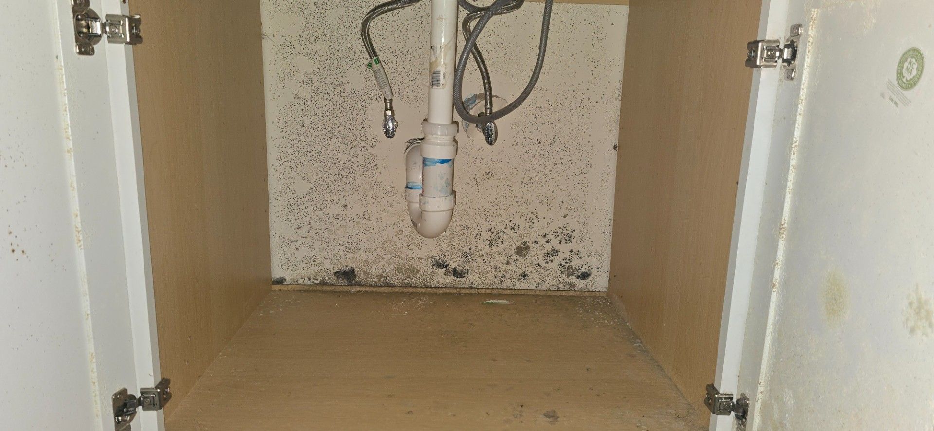 Inside a bathroom cabinet, showing plumbing and mold growth.