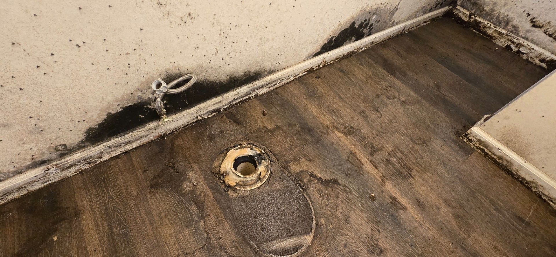 Moldy flooring and wall near a pipe, likely in a damp or water-damaged area.