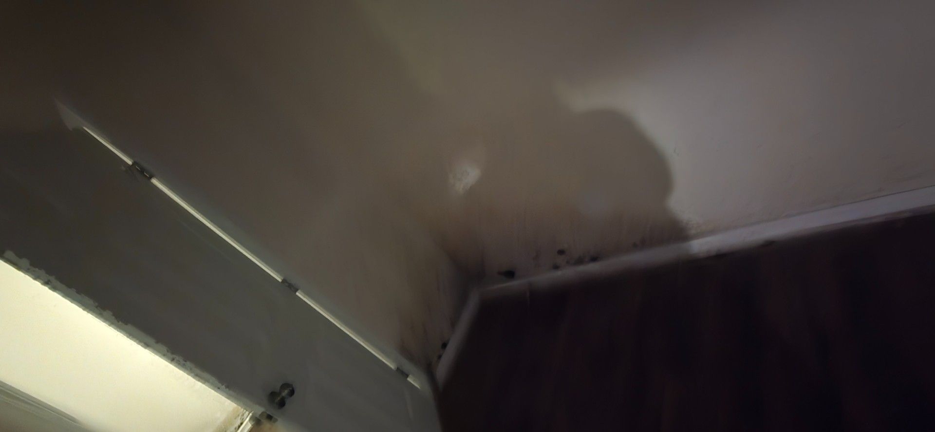 A white cat rests atop a cabinet, casting a large shadow on the ceiling. Low angle shot.