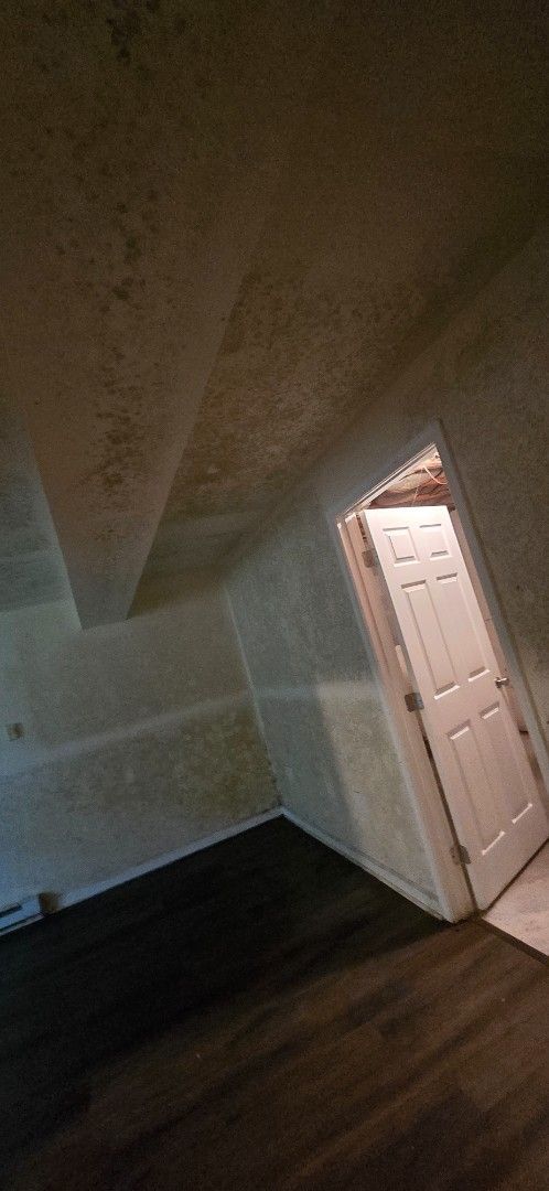 Dark-floored room with discolored ceiling and walls, door open to another room.