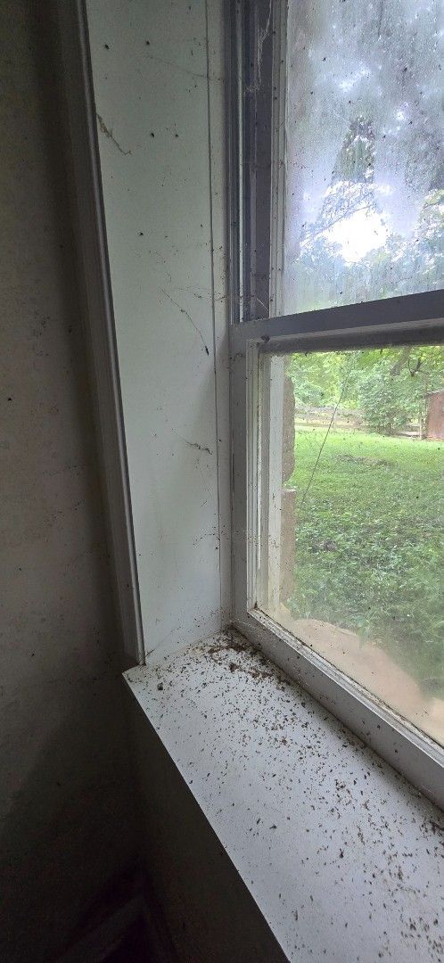 Interior view of a dirty window sill covered in small debris and a green view outside.