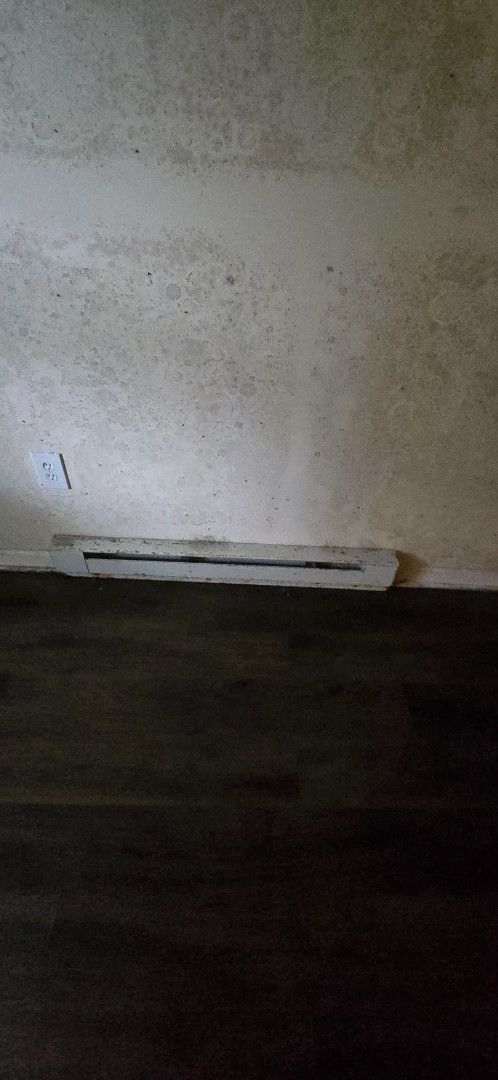 Wall with a vent near the floor. The wall has a stain, and the floor is a dark wood.