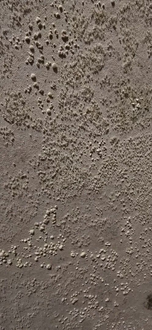 Rough, textured, gray surface with small, raised, rounded bumps.