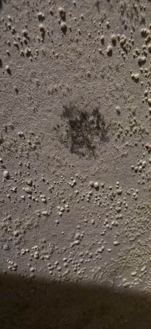 Close-up of a textured, light brown surface with dark, irregular shape in the center.