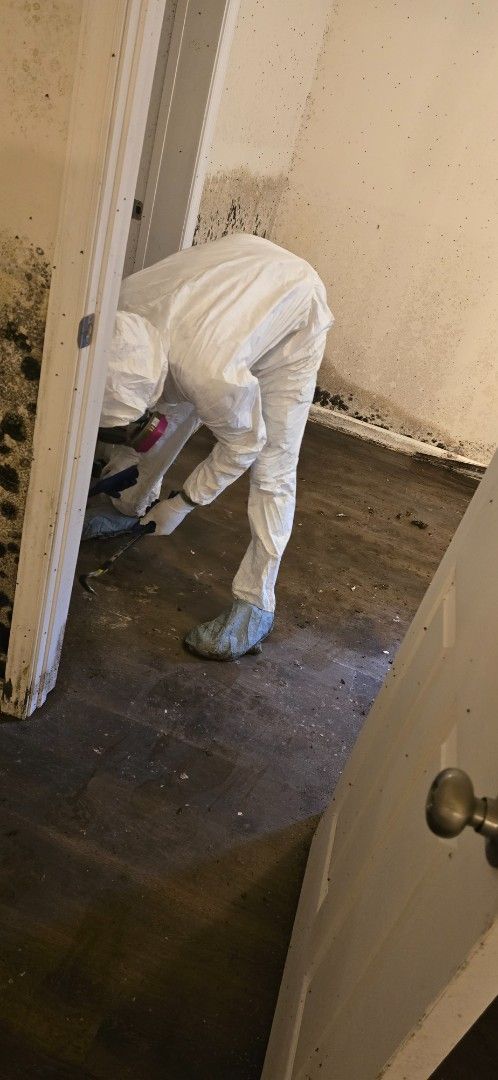 Person in protective suit removing mold from a wall.