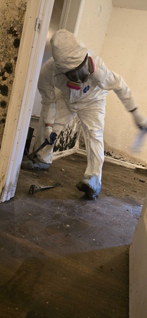 Person in protective suit removing mold from a wall.