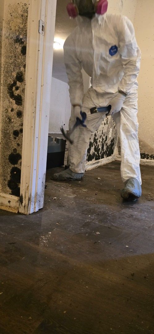 Person in protective suit removing mold from a wall. Interior setting with dark floor and mold.