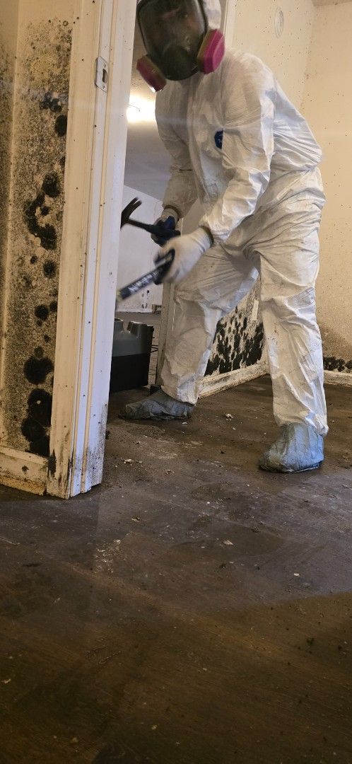 Person in protective suit removing mold from a wall in a damp, indoor space.