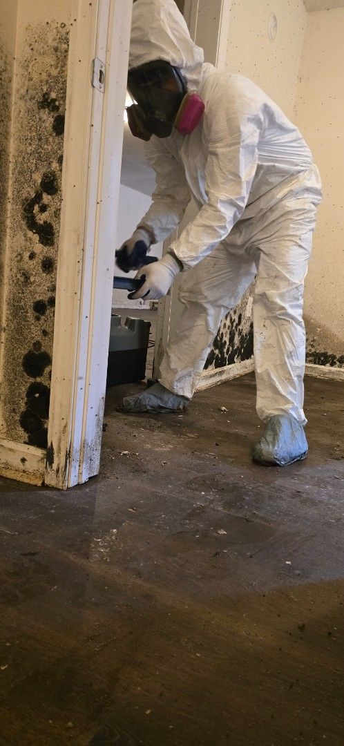 Person in hazmat suit removing mold from a wall in a damp room.