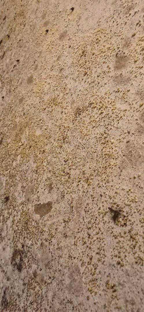 Close-up of a light-colored granite countertop with flecks of brown and tan.