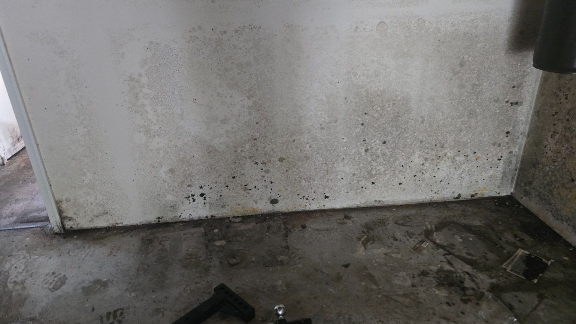 Moldy concrete wall in a corner, dark patches near the floor, with a concrete floor.
