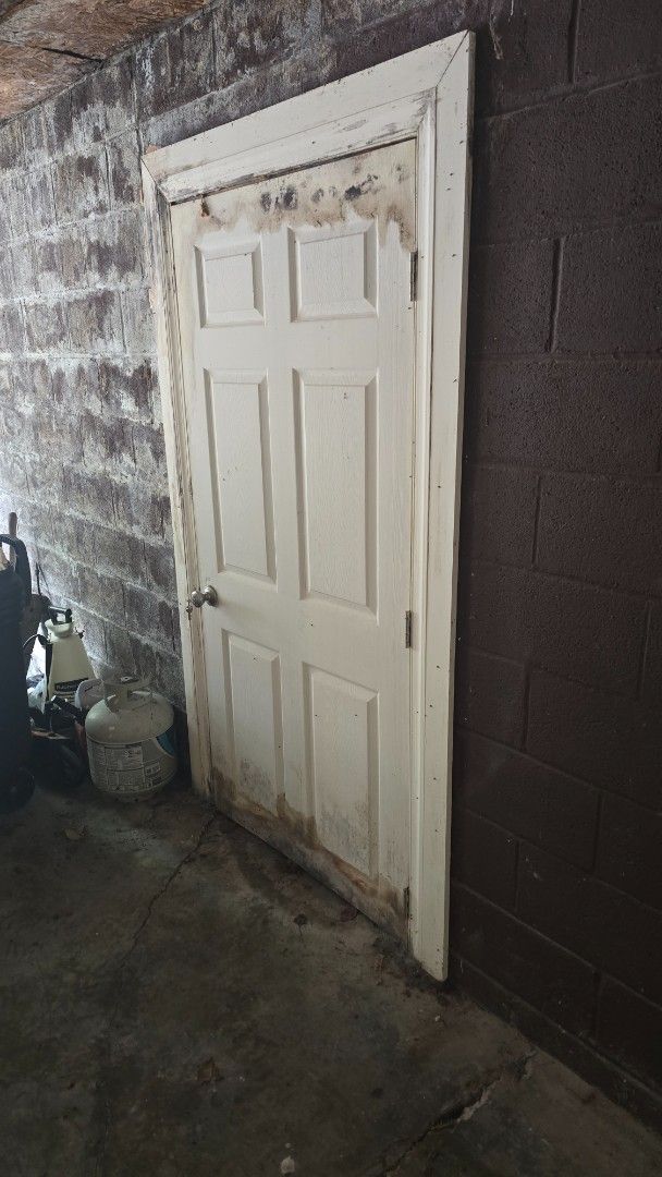 White door leaning against a brick wall.  Mold and water damage visible.