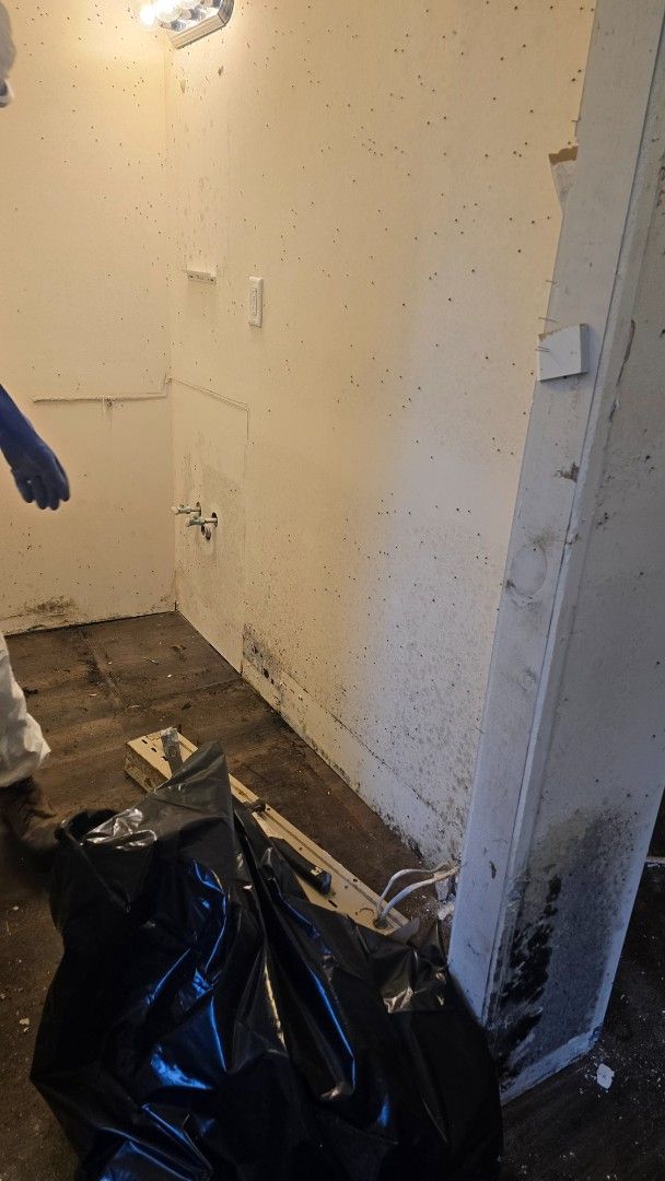 Dark room with debris, black trash bag, and a person wearing a blue glove reaching in.