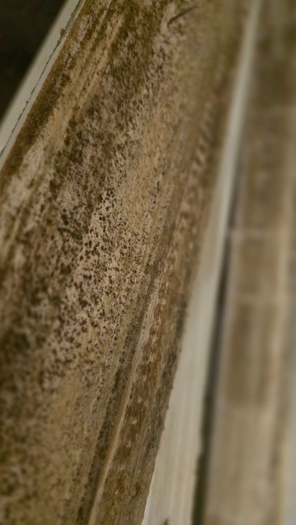 Close-up of a weathered, textured surface with shades of brown and beige; possibly stone or aged material.