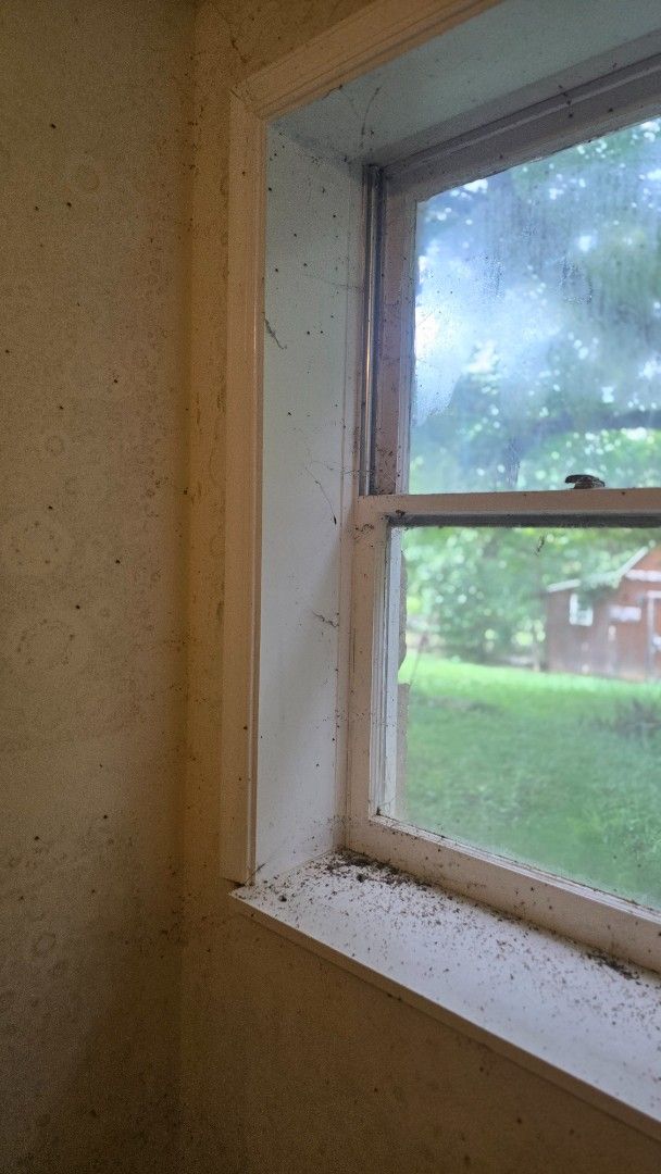 Corner of a room with a window. Dusty white walls and window frame with a green outdoor view.