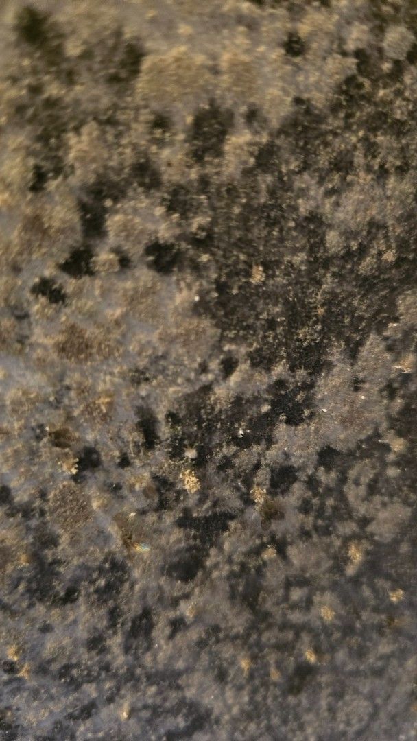 Granite countertop, mottled gray with black and gold flecks.