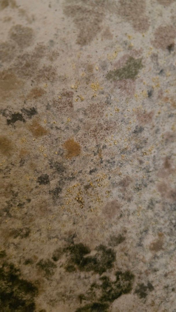 Close-up of a speckled, textured countertop in shades of tan, brown, and green.