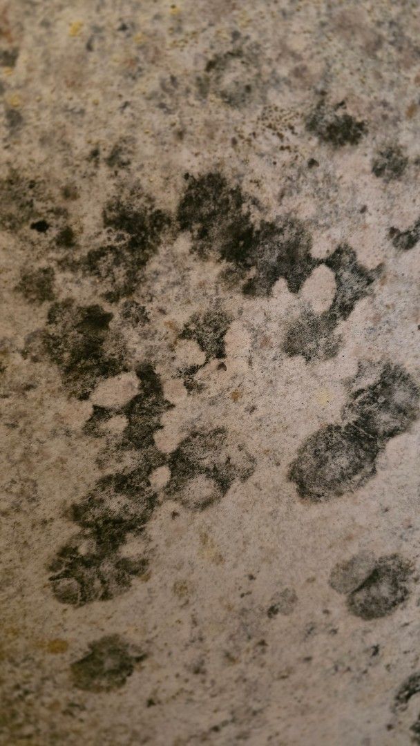 Close-up of a textured surface with splotches of black mold, possibly on a wall.