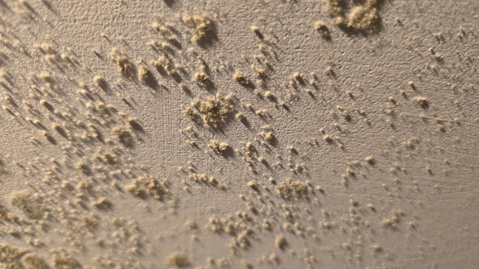 Close-up of textured, off-white surface with scattered, yellowish, bumpy formations.