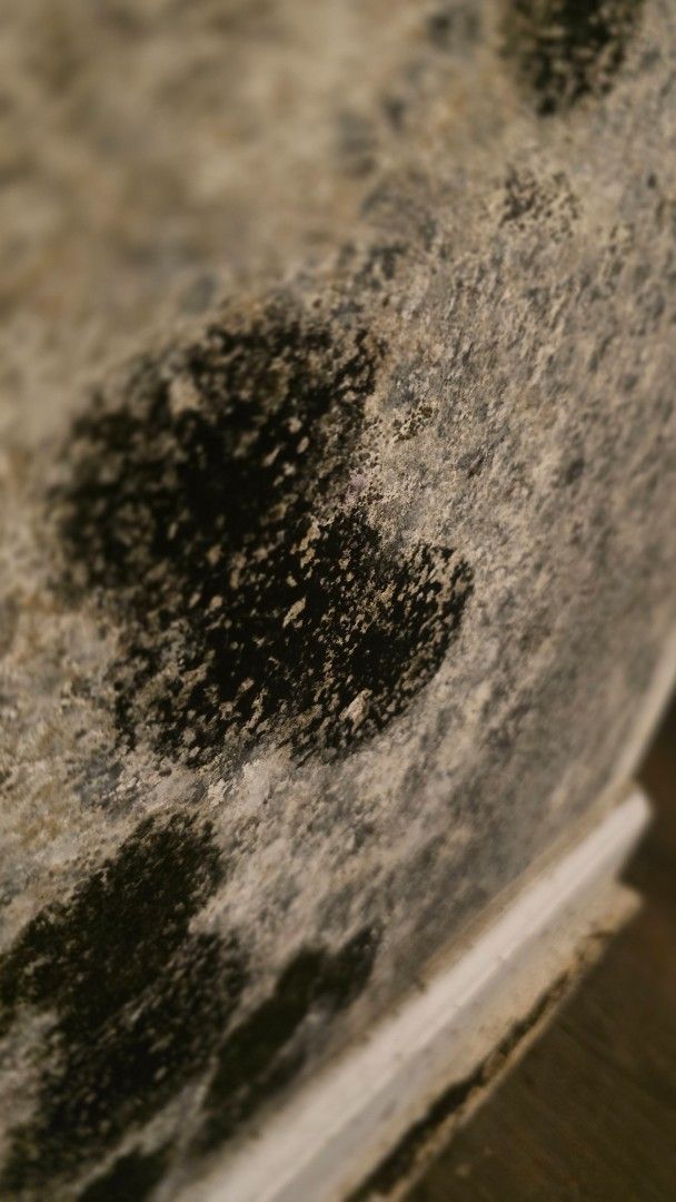 Black mold on a wall, near a white baseboard, close-up view.