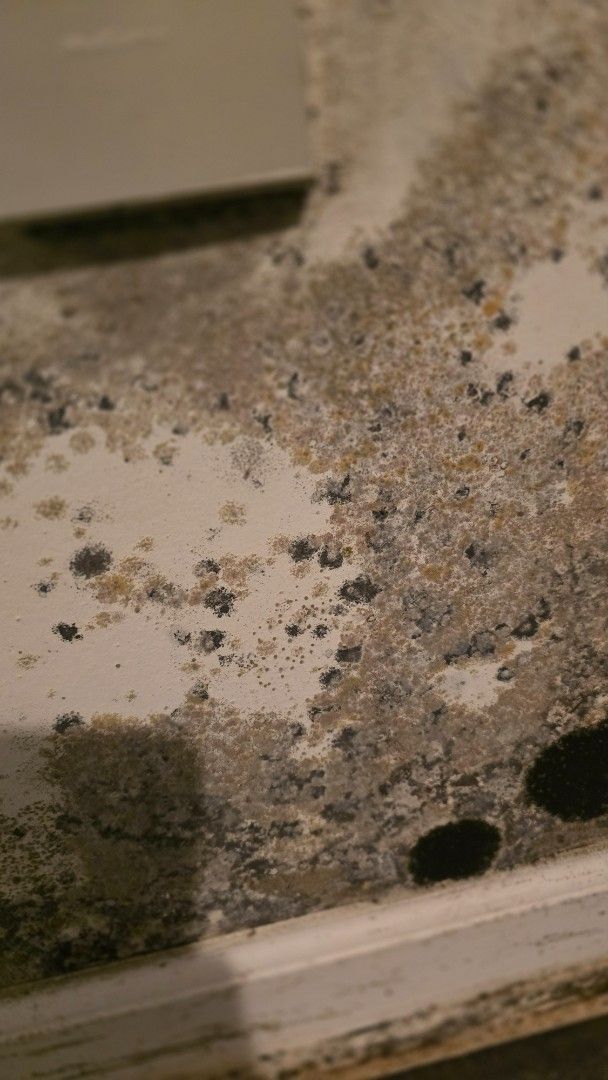 Mold growth on a white windowsill, featuring black and gray spots.