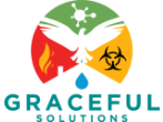 Graceful Solutions